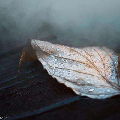 星空app官方版下载手机版